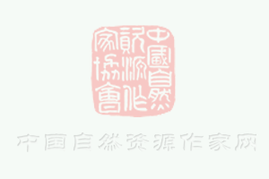 越南西贡纺织及制衣工业展览会闭幕